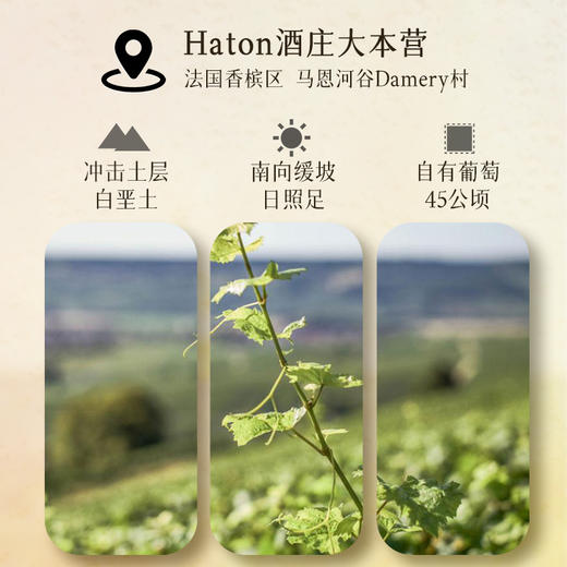 【5获国际90+分】哈顿桃红起泡香槟 法定AOC香槟产区 12.5%vol 商品图4