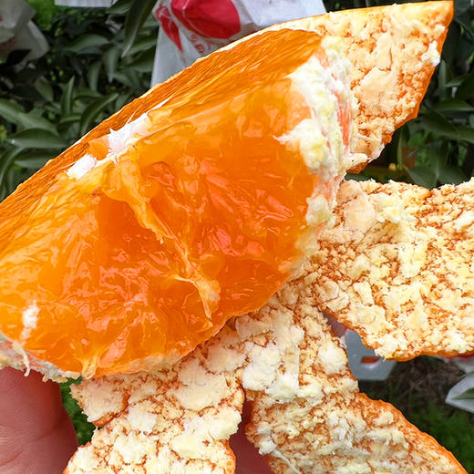 明日见晚熟柑橘 | 山人优选，被誉为能振兴柑橘行业的明日之星， 此时春天树上正当熟，高糖纯甜，果肉细嫩入口爆汁 商品图1