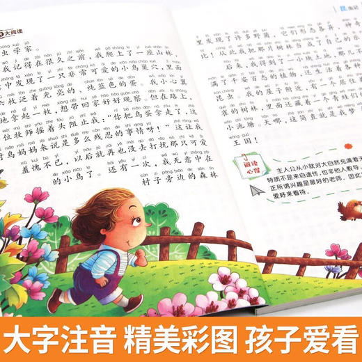 新太阳鸟课外大阅读系列 注音彩绘版 昆虫记 商品图2