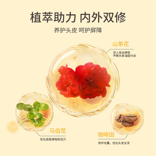 蔚雨堂控油去屑洗发水200ml/400ml，山茶花清香，控油去屑 商品图4