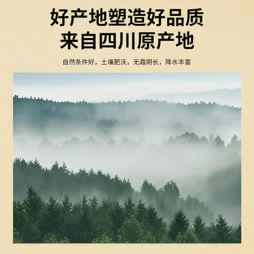 【积分兑换】【正宗同仁堂品牌】北京同仁堂 青源堂 乌梅300克 四川老乌梅干 果肉厚实 酸爽可口 颗粒饱满 拒绝熏硫SY 商品图1