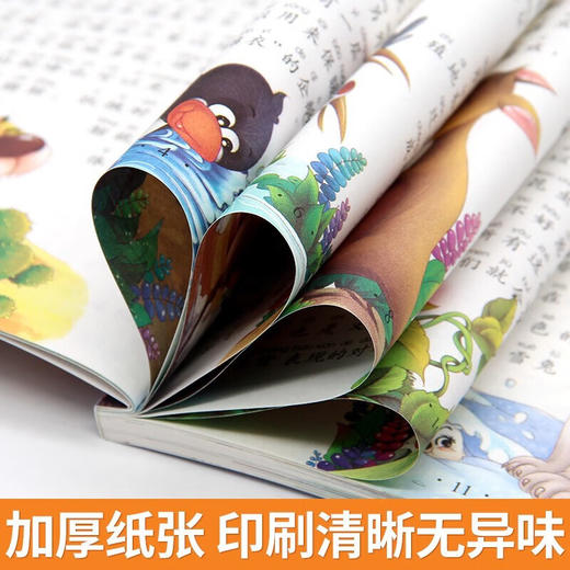 新太阳鸟课外大阅读系列 注音彩绘版 少儿百科 商品图5