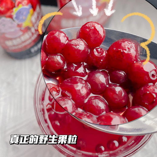 珍想系列野生蓝莓蔓越莓果汁饮料 商品图4