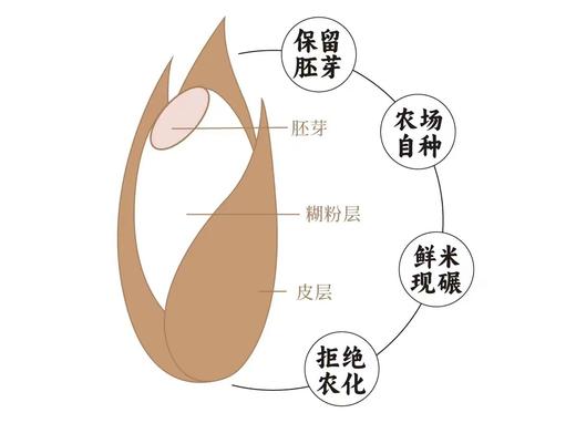 谦益农场自留种糙米（带胚芽） 商品图1