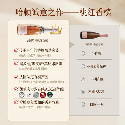 【5获国际90+分】哈顿桃红起泡香槟 法定AOC香槟产区 12.5%vol 商品图2
