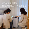 【第13个心愿】【官方1499元】【雨雪天刚需好物 除湿机】除湿/干衣两种模式 可覆盖100m²大户型高效除湿  欧洲专注除湿品牌 自带湿度检测 ~ 商品缩略图1