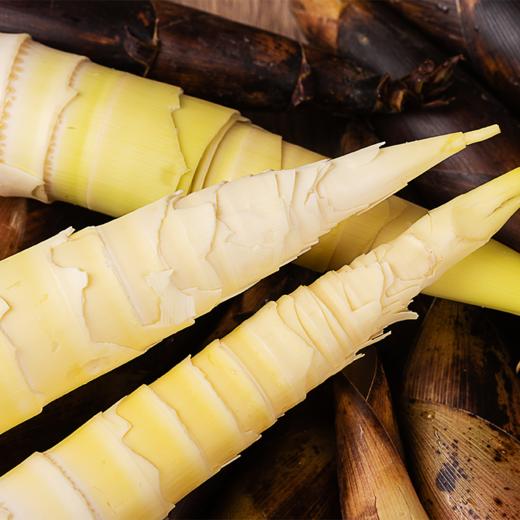 【产地直发】临安·天目山春笋 鲜甜脆嫩  新鲜采挖 清香甘甜 商品图2