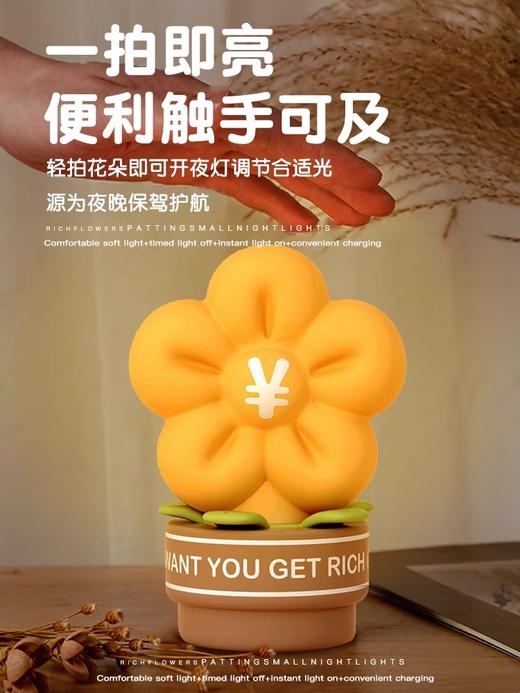 有钱花小夜灯 商品图2
