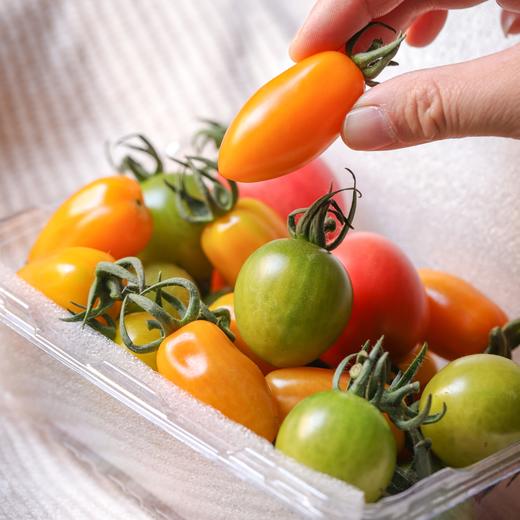 有机圣女果3斤装 商品图2