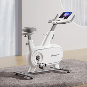 麦瑞克动感单车家用运动健身自行车磁控室内减肥器材绝影one静音