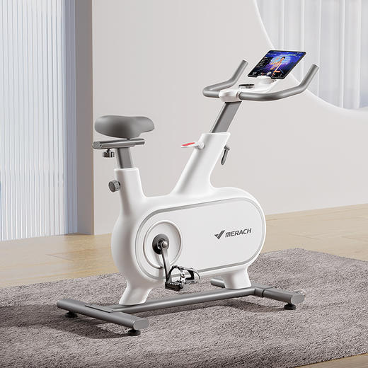 麦瑞克动感单车家用运动健身自行车磁控室内减肥器材绝影one静音 商品图0