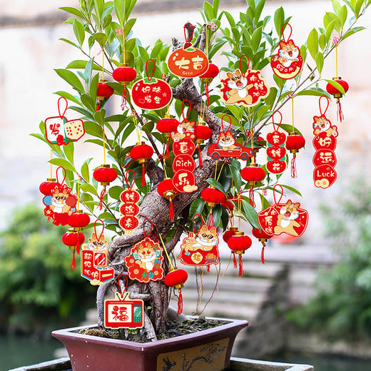 「数套可选！2024装饰挂件」小灯笼挂树上福字挂饰龙年春节元旦氛围家居饰品布置用品 商品图2
