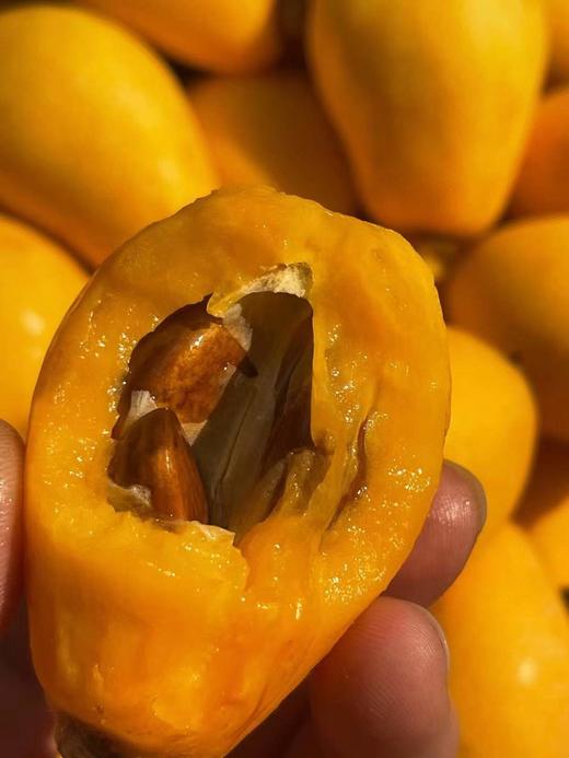 云南蒙自长虹枇杷 商品图3