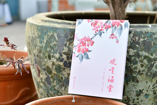 观赏海棠&2492 商品图0