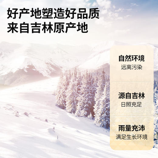 【正宗同仁堂品牌】北京同仁堂 青源堂 五味子150克 选自吉林  色泽自然 油润大果 茶汤通透SY 商品图5