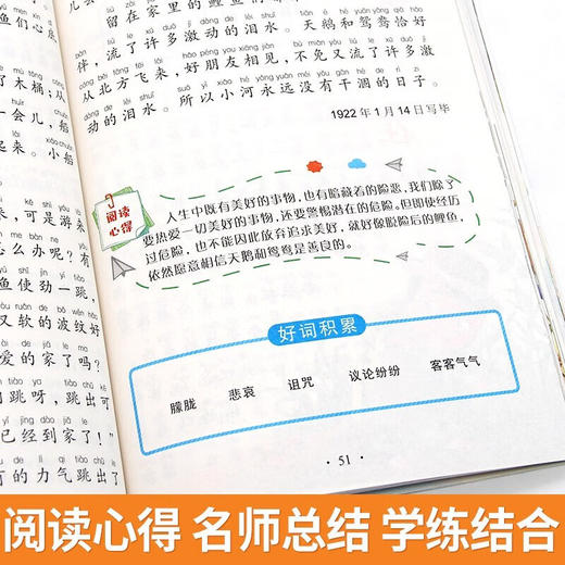 新太阳鸟课外大阅读系列 注音彩绘版 稻草人 商品图3