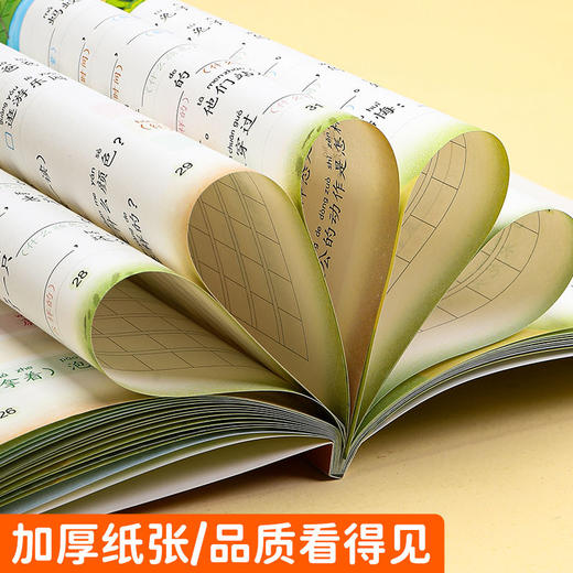 书行一二年级上下册看图写话练字帖训练册小学生语文每日范文专项训练描红本 商品图8