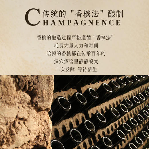 【5获国际90+分】哈顿桃红起泡香槟 法定AOC香槟产区 12.5%vol 商品图8