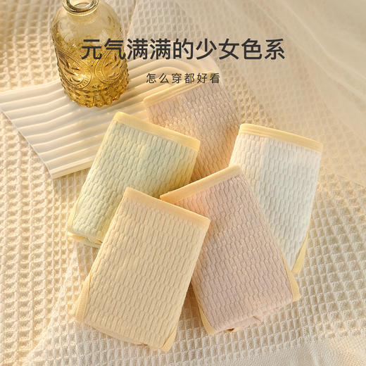 【5A级抑菌底档】元气少女高开叉棉内裤女5条装高弹舒适不勒腿2083#提花舒适内裤5条装 商品图6