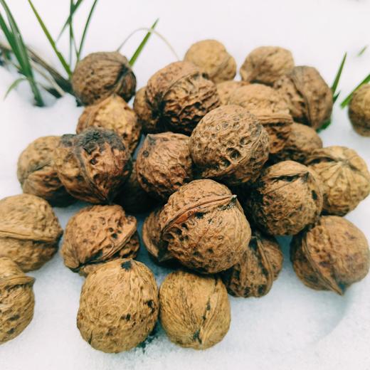 神农架山核桃500克 商品图2