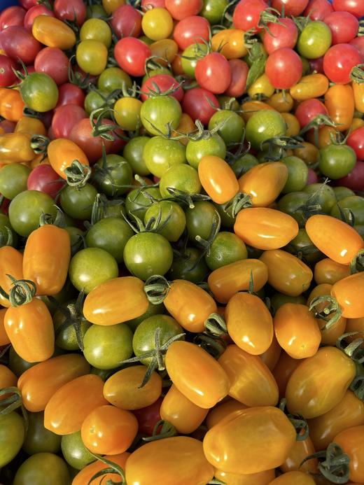 有机圣女果3斤装 商品图4