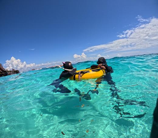 【仙本那padi课程】五星潜店|全新装备|含接机服务|提前预约可指定明星教练|多课程可选 商品图2