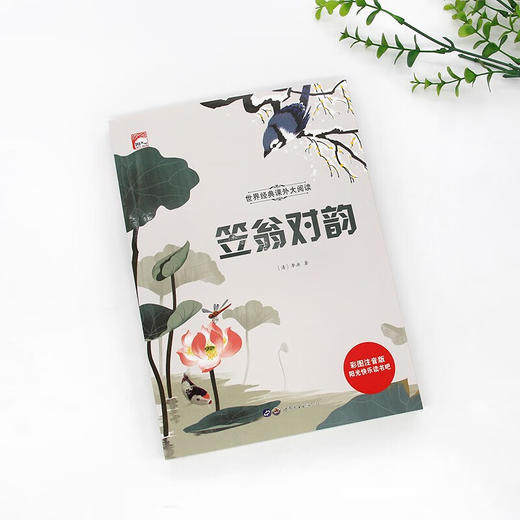 世界经典课外大阅读系列 彩图注音版 笠翁对韵 商品图1