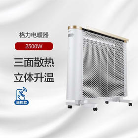 GREE 格力 电暖器 NDYQ-25B