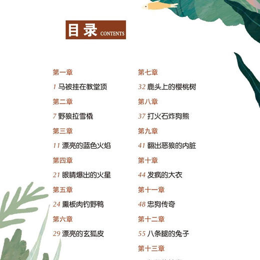 世界经典课外大阅读系列 彩图注音版 吹牛大王历险记 商品图5