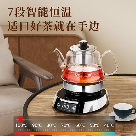 金灶（KAMJOVE）A-96自动喷淋式煮茶器蒸茶器办公室小型煮茶壶蒸汽自动电茶炉花茶壶 商品图4
