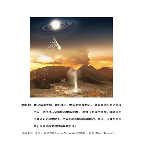 牛津科普系列：《生命起源》 商品图7