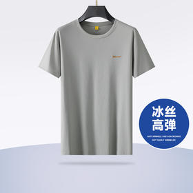 【Q】【冰丝高弹】【新款DG】大依优型大码短袖T恤圆领冰丝加肥加大男士大号弹力透气舒适半袖夏装