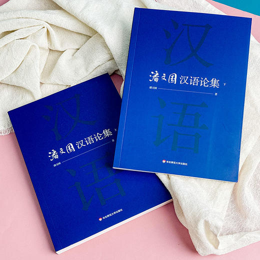 潘文国汉语论集 汉语研究 比较文学 商品图3