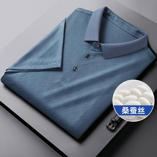 【Q】【桑蚕丝】【新款DWP】大依优型大码高品质短袖Polo衫翻领加肥加大男士大号弹力透气舒适 商品图0