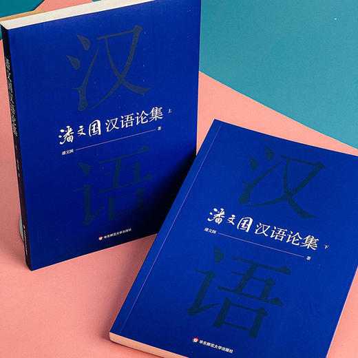 潘文国汉语论集 汉语研究 比较文学 商品图1