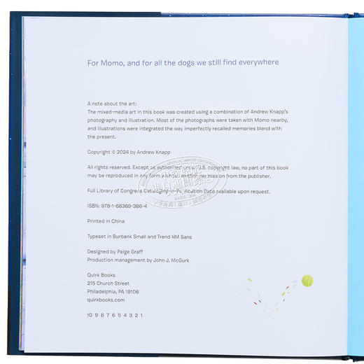 【中商原版】Andrew Knapp Find Momo Everywhere 寻找莫莫4 遍寻Momo 精装 英文原版 进口图书 Momo儿童绘本 故事图画书 商品图2