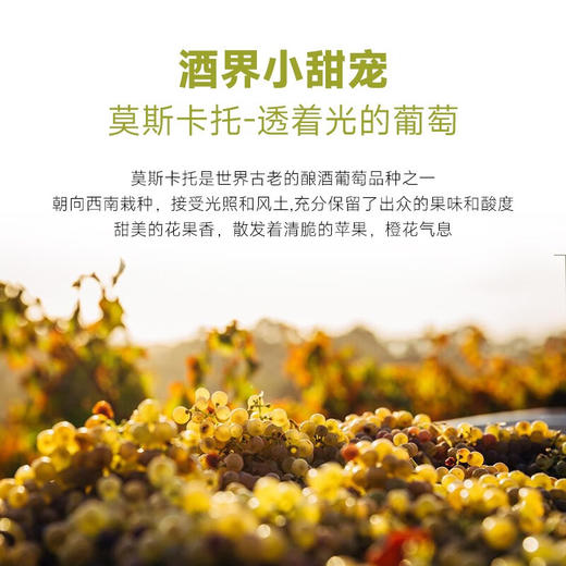 【5W+客户好评·有口皆碑】贝丽斯家族莫斯卡托骑士起泡酒  法国贝丽斯家族 6%vol 商品图4