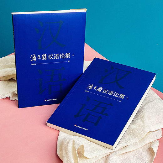 潘文国汉语论集 汉语研究 比较文学 商品图2