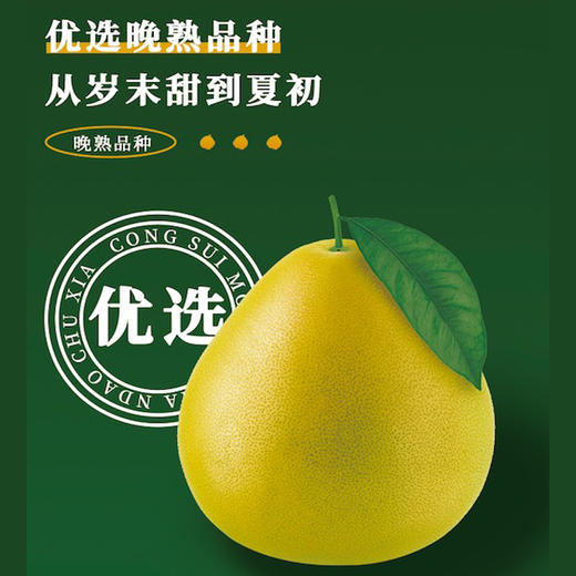 有机福心柚 商品图4
