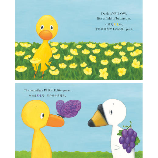 《小黄鸭小白鹅·双语纸板书系列》（全10册） 商品图3