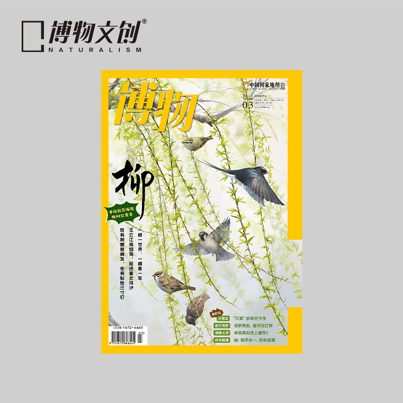 博物杂志 2024年3月刊 柳树主题  精美大拉页 博物大学 青少年科普杂志