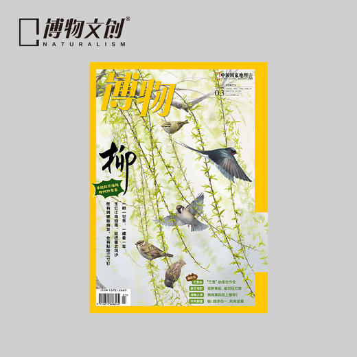 博物杂志 2024年3月刊 柳树主题  精美大拉页 博物大学 青少年科普杂志 商品图0