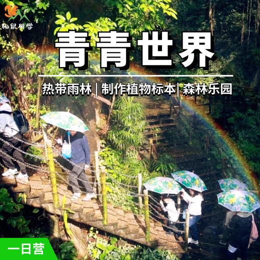 幼儿园春游【青青世界】深圳闹市中，居然藏匿了一处绿野仙踪！ 商品图0