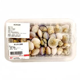 鲜活净化蛤蜊350g