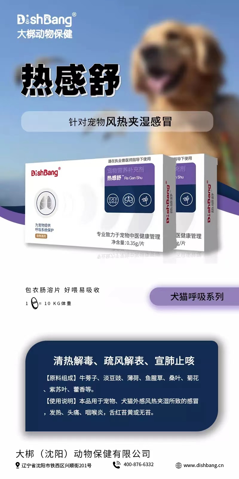 大梆热感舒  16片/盒，2027年12月3号到期。黄色本品用于宠物、犬猫外感风热夹湿所致的感冒发热、头痛、咽喉炎，舌红苔黄或无苔。