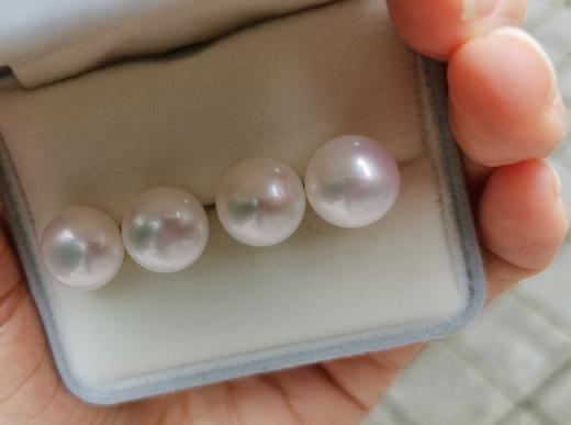 520系列【简洁】淡水珍珠耳钉 商品图4