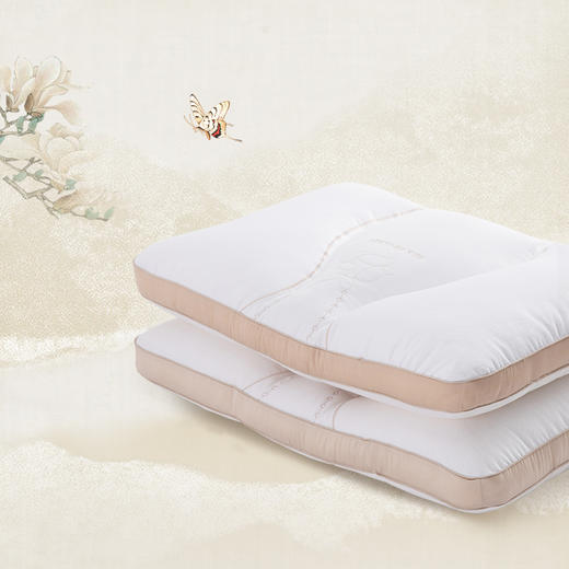 多喜爱 神州丝韵桑蚕丝乳胶复合枕（七彩琦锦）cs 商品图1