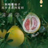 有机福心柚 商品缩略图1