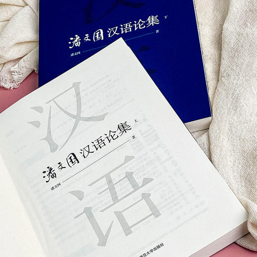 潘文国汉语论集 汉语研究 比较文学 商品图6