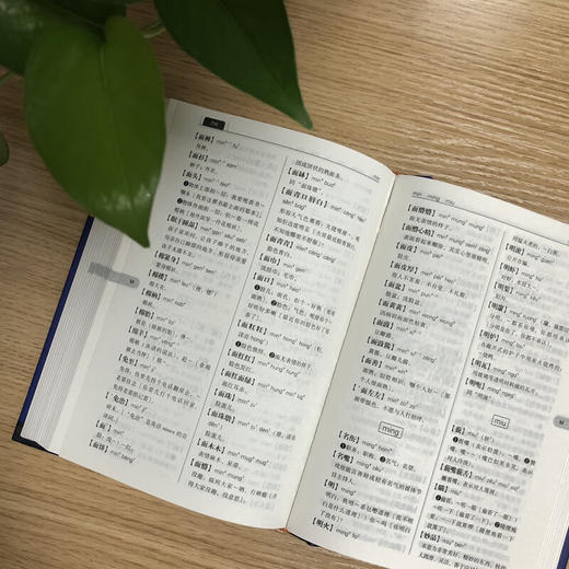 【广州话词典（第2版）】（精装）粤语学习助手 商品图4